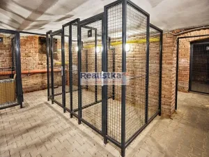 Pronájem bytu 1+kk, Brno, Údolní, 43 m2