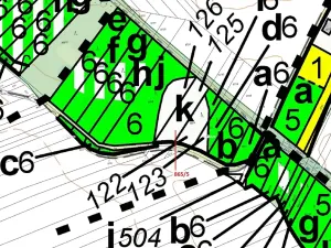 Dražba lesa, Přísnotice, 968 m2