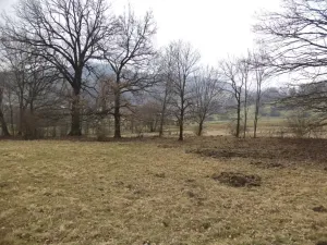 Dražba pozemku, Česká Kamenice, 5161 m2