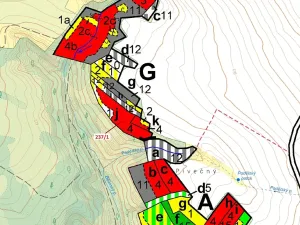 Dražba lesa, Čikov, 5885 m2