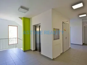 Pronájem bytu 1+kk, Praha - Břevnov, Brunclíkova, 30 m2