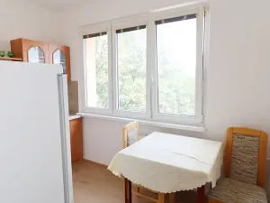 Pronájem bytu 2+1, Nová Role, Nádražní, 53 m2