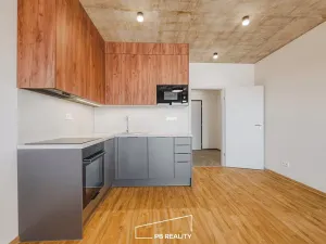 Pronájem bytu 1+kk, Plzeň, Kamenická, 34 m2