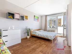 Prodej bytu 2+1, Hradec Králové - Moravské Předměstí, Vysocká, 55 m2