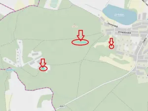 Prodej lesa, Vracov, 3963 m2