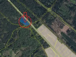 Prodej lesa, Týniště nad Orlicí, 6788 m2