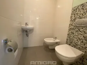 Pronájem bytu 3+kk, Brno, Preslova, 104 m2