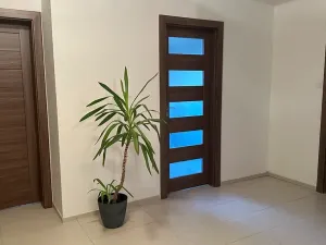 Prodej rodinného domu, Vojkov, 194 m2