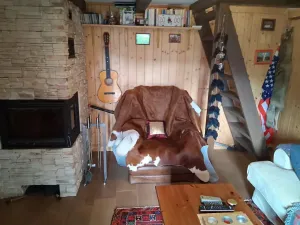 Prodej chaty, Štěchovice, 50 m2