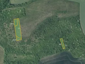 Prodej pole, Děčany, 78982 m2