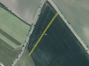 Prodej pole, Děčany, 78982 m2