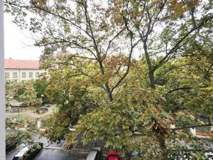 Pronájem bytu 2+kk, Praha - Karlín, Pernerova, 44 m2