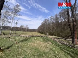 Prodej louky, Cvikov - Trávník, 545 m2