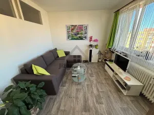 Prodej bytu 2+1, České Budějovice, Vodňanská, 42 m2