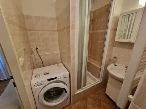 Pronájem bytu 1+1, Brno, Božetěchova, 46 m2