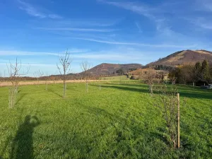 Prodej pole, Kozlovice, 100000 m2