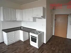 Pronájem bytu 1+1, Chomutov, Růžová, 35 m2