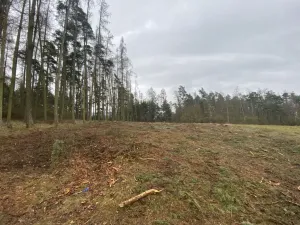 Prodej lesa, Blížejov - Lštění, 4624 m2