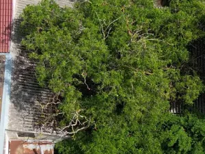 Prodej rodinného domu, Lipník, 176 m2