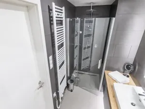 Pronájem bytu 2+kk, Praha - Žižkov, U Viktorie, 68 m2