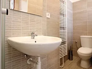 Pronájem bytu 1+kk, Brno, Koliště, 26 m2