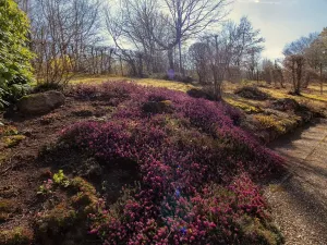 Prodej pozemku pro bydlení, Kamenice, Jílovská, 1009 m2