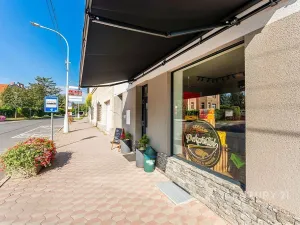 Pronájem bytu 2+kk, Libčice nad Vltavou, Letecká, 67 m2