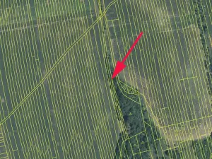 Prodej pole, Kněždub, 1981 m2