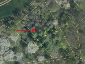 Prodej lesa, Mšeno, 1050 m2