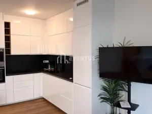 Pronájem bytu 2+kk, Praha - Libeň, Menclova, 53 m2