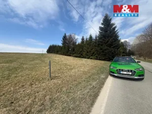 Prodej louky, Rokytnice v Orlických horách, 609 m2