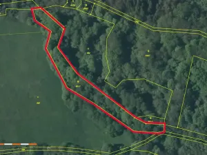 Prodej lesa, Kozly, 3340 m2