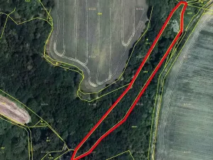 Prodej louky, Staňkovice, 4313 m2