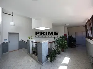 Pronájem bytu 5+1, Praha - Smíchov, Štefánikova, 168 m2