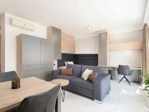Pronájem bytu 1+kk, Brno, Mezírka, 42 m2