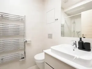 Pronájem bytu 1+kk, Brno, Mezírka, 42 m2