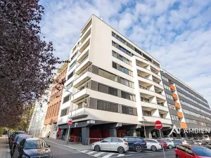 Pronájem bytu 1+kk, Brno, Mezírka, 42 m2