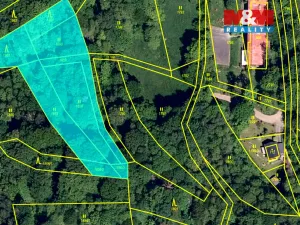 Prodej lesa, Rusava, 26118 m2