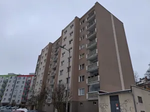 Pronájem bytu 1+1, Cheb, Hrnčířská, 40 m2