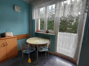 Pronájem bytu 2+1, Aš, Kamenná, 50 m2