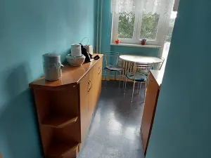 Pronájem bytu 2+1, Aš, Kamenná, 50 m2