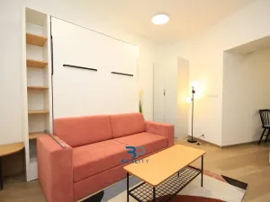 Prodej bytu 1+1, Praha - Žižkov, Milíčova, 33 m2