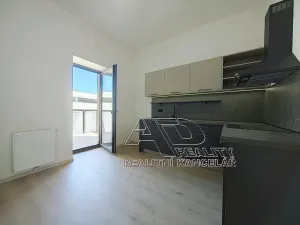 Pronájem bytu 1+kk, České Budějovice, Fráni Šrámka, 40 m2