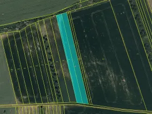 Prodej pole, Moravský Písek, 15604 m2