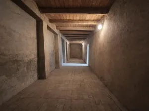 Prodej vícegeneračního domu, Brno, Fryčajova, 350 m2