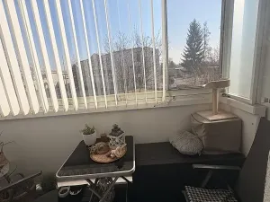 Prodej bytu 2+1, Kroměříž, Obvodová, 50 m2