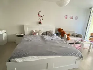 Prodej bytu 1+kk, Teplice, Čs. dobrovolců, 37 m2