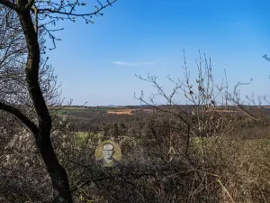 Prodej rodinného domu, Střemy, 100 m2