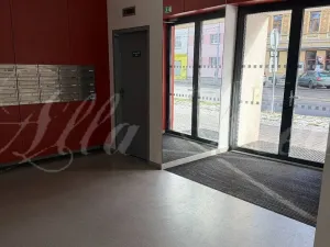 Pronájem bytu 1+kk, Brno - Medlánky, Palackého třída, 33 m2