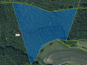 Dražba lesa, Čestín, 22508 m2